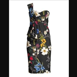 NWT Parker  Kysha Cold Shoulder Floral Dress